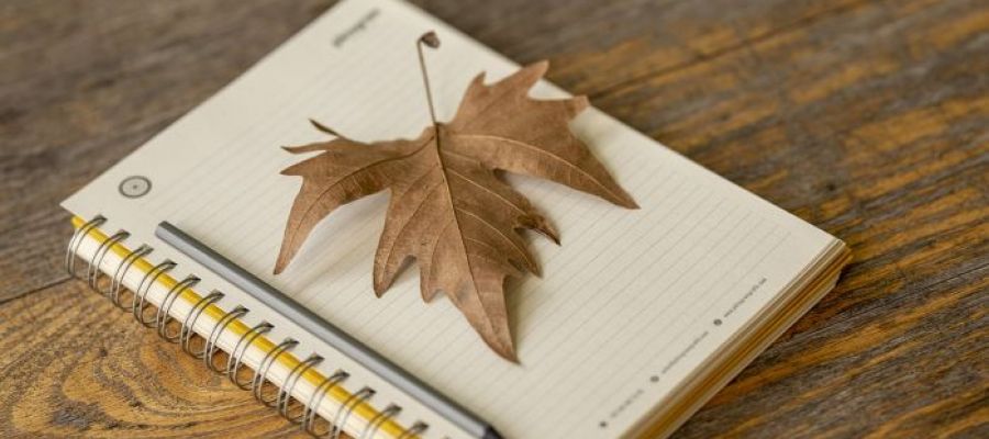 Öffnungszeiten während der Herbstferien - Bild herbst-the-work-4623218_1280 von Engin_Akyurt auf Pixabay