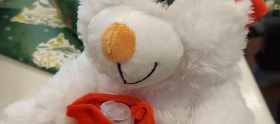 Weihnachtsaktion Großhandel - Foto: BSZ ED