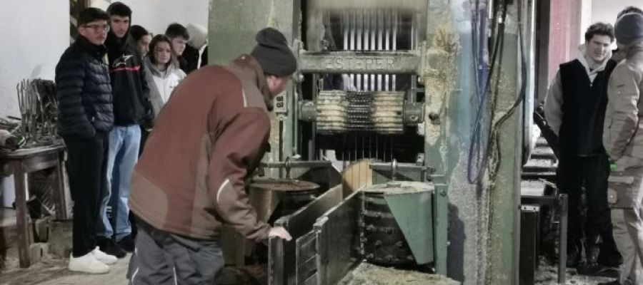 Ho10a und b im Sägewerk - Foto: BSZ ED